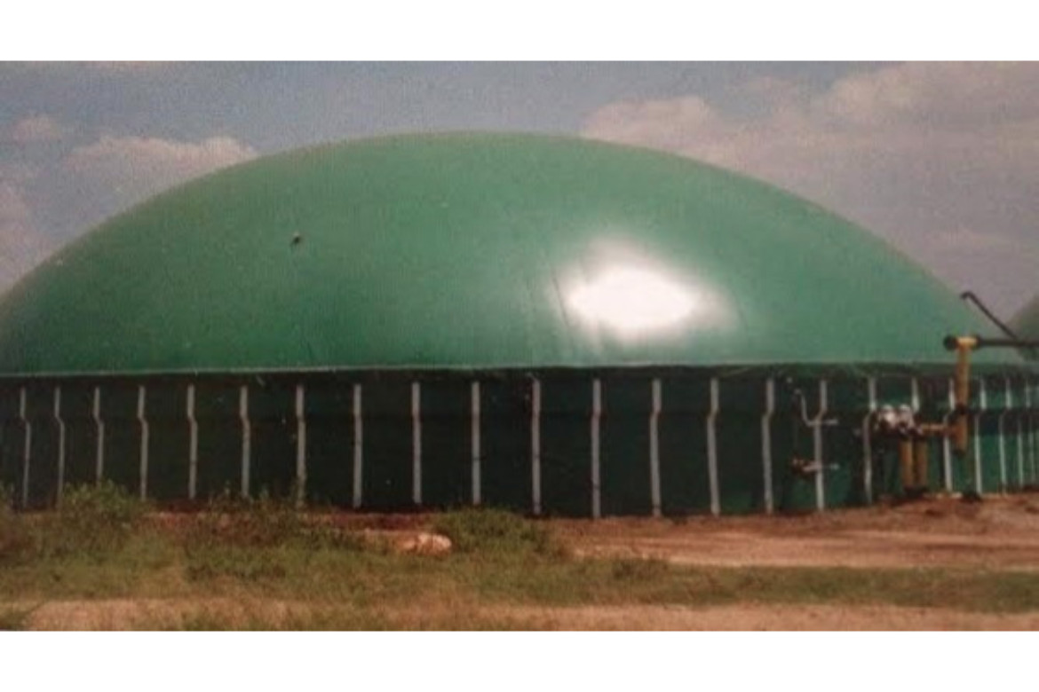 Suba Shree biogas power plant